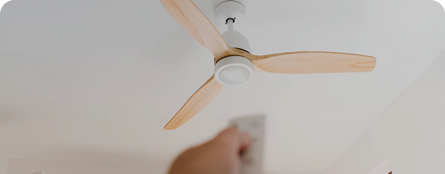 Ceiling Fans
