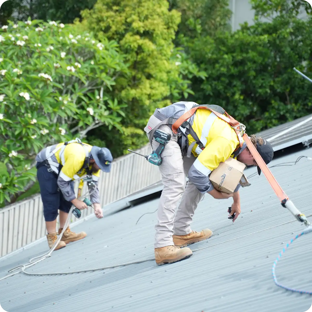 We’ve Got What You Need Beare promotional graphic from Beare Group showcasing solar power systems, electrical services and energy solutions Queensland